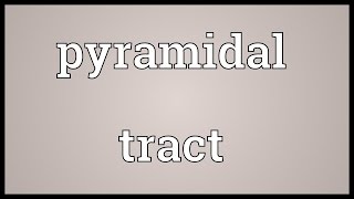 Pyramidal tract Meaning [upl. by Teresita]