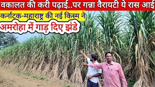 sugarcane new varietyवकालत पढ़ अमरोहा का किसान उगा रहा कर्नाटकमहाराष्ट्र की गन्ने की वैरायटी [upl. by Anewor173]