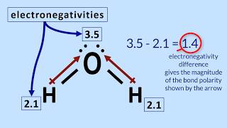 Polar Molecules Tutorial How to determine polarity in a molecule [upl. by Aloeda356]