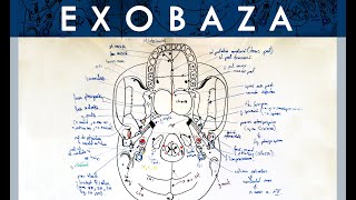 Anatomia craniului  EXOBAZA [upl. by Fonz685]