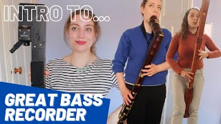 Intro to GREAT BASS Recorder  Team Recorder [upl. by Oinigih]