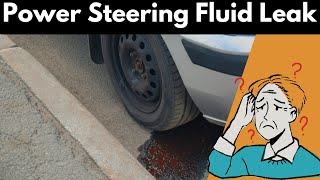 Power Steering Fluid Leak Explained Causes and Fixes [upl. by Konstantine]