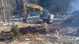 Kobelco 115SR digging out stumps [upl. by Labinnah276]