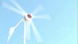 Turbina eoliana 1KW  home made wind turbine neodymium magnets free energy [upl. by Ahsin]