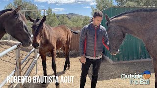 Roberto Bautista Agut Shares His Passion For Horses [upl. by Lubba]