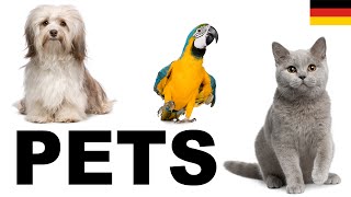 Lernen Sie englisch vokabeln  Haustiere 1 Pets [upl. by Suckow]