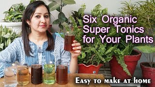 Six Organic Liquid Fertilizers for Magical Growth of Plants  Home made Liquid Fertilizers [upl. by Sekyere107]