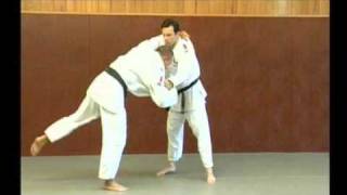 Apprendre le judo  Les projections [upl. by Ellenar]