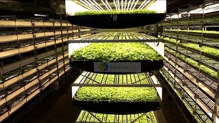 Is vertical farming more energy intensive [upl. by Koehler793]