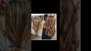 Beautiful Hair Job hair goldwell colorance montrealhairexpert artist fashion beforeandafter [upl. by Tekcirc982]