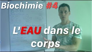 Limportance de lEAU dans le corps  Biochimie épisode 4 [upl. by Aesoh]