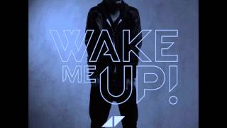 Avicii  Wake me up Speed up [upl. by Essex]