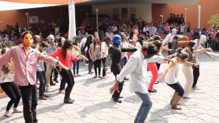 Flashmob Thriller [upl. by Ariam911]