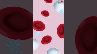 Common Causes of Low Hemoglobin  Watch full Video  httpsyoutubegxBTCGceu38 [upl. by Domenech]