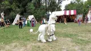 Unicorns at the Fantasy Fair [upl. by Aroc]