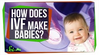 How Does IVF Make Babies [upl. by Whitehurst955]