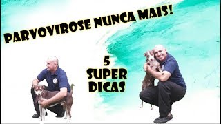 COMO TRATEI A PARVOVIROSE EM CASA  5 Super Dicas [upl. by Dag]