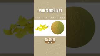 Ginkgo Biloba Flavonoid Extract [upl. by Asilam]