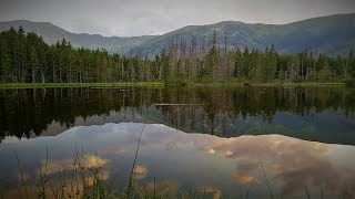 Tatry  Dolina Kościeliska  Smreczyński Staw [upl. by Craven]