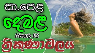 නිවැරදිව දෙමළ රචනාවක් ලියමු  Tamil essay OL part 2  Tamil Essays For OL Exam  trincomale [upl. by Adieno]