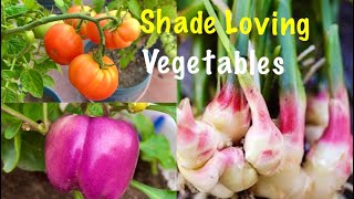 Top 10 Shade Loving Vegetables  Vegetables To Grow In Shady Area [upl. by Notlem]