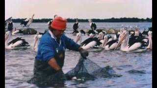 Six Generations of Fishing  Russell Massey a digital story from the Lake Illawarra MAP Project [upl. by Haya]