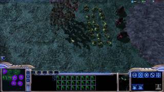 Zerg Hotkeys Control Groups [upl. by Matta]