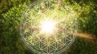 528 Hz Heart Chakra Regeneration  Repair amp Heal The Heart Chakra  Open amp Balance ANAHATA Chakra [upl. by Kalie]