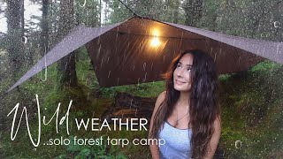 Solo Tarp Camping in Heavy Rain amp Hail 🌧️ at a Beautiful Forest Lake in the Mountains [upl. by Lodnar]