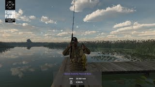 Fishing Planet  Everglades  Florida  Historic Butterfly Peacook Bass [upl. by Lleihsad]