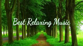 Relaxing Piano Music Romantic Music Beautiful Relaxing Music Sleep Music Stress Relief ★4 [upl. by Nyrret]