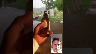 Hoegaarden beer 🍻 review amp information youtubeshorts shortvideo shorts beer hogadan [upl. by Aliban]