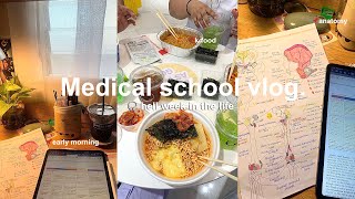 study vlog 🍙 productive week in my life medical school edition study with me slice of life [upl. by Haroppizt662]