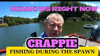 Fishing For Crappie In The Spawn [upl. by Greyso]