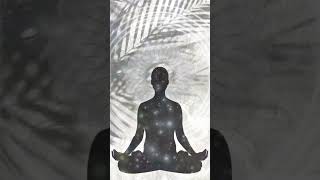 Breathe it Out Basic Sudarshan Kriya Technique [upl. by Milzie506]