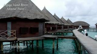 Angaga Island Resort [upl. by Nylodnew]