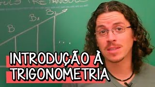 Introdução à Trigonometria  Extensivo Matemática  Descomplica [upl. by Lledualc]