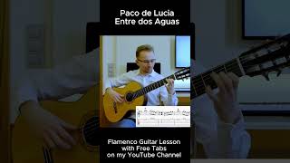 Entre dos Aguas  Paco de Lucia Part 1 flamencoguitar entredosaguas pacodelucia guitar [upl. by Mimi]