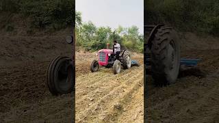 Massey Ferguson 1035  1968shortvideo [upl. by Kealey]