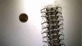 Undulatory gaits in a centipede millirobot [upl. by Laeira]