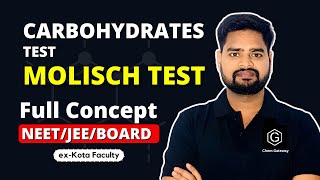 Test for Carbohydrates Molisch Test IIT JEE  NEET BOARDS chemgateway jee2024 [upl. by Arathorn]