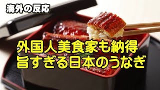 【海外の反応】日本の最高のうなぎの美味しさに米国人美食家が大絶賛！海外の反応 [upl. by Yleoj550]