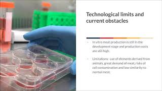 Is artificial meat in vitro the solution for the future [upl. by Wynne]