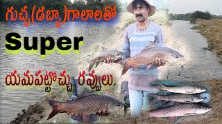 Super fishing with bunches of hookగుచ్ఛ గాలలతో రవ్వ చాపలు From Jssvlogs [upl. by Willtrude899]