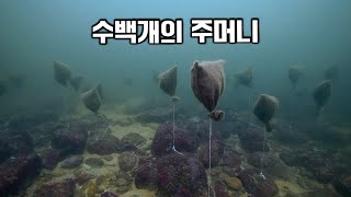 바다에 수상한 주머니를 버리는 이유 [upl. by Norra]