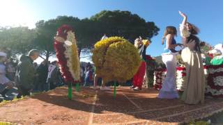 Corso Fleuri Bormes les Mimosas février 2017 [upl. by Bruni]