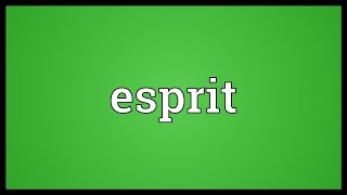 Esprit Meaning [upl. by Briano]