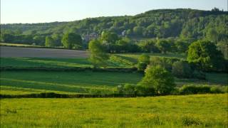 Bourée valsée french folk music [upl. by Gonsalve]