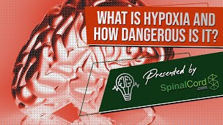 Hypoxia Definition Causes Symptoms and Treatment What is hypoxia and how dangerous is it [upl. by Hellah717]