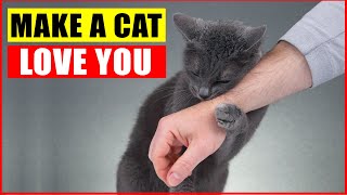 10 Scientific Ways to Get a Cat to Like You [upl. by Christiano]